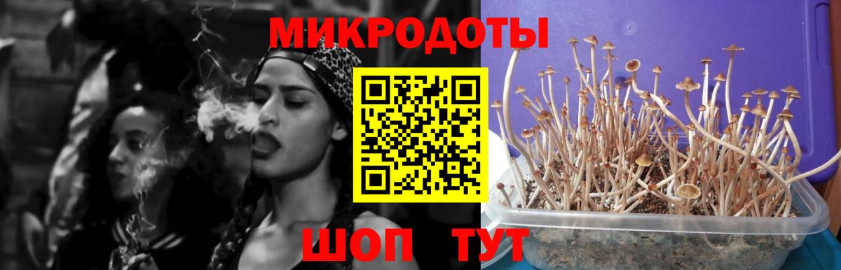 Псилоцибиновые грибы Magic Shrooms  Вход с VPN  Тобольск 